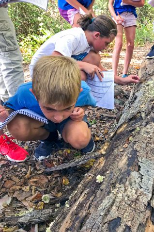 Students looking for items in nature.