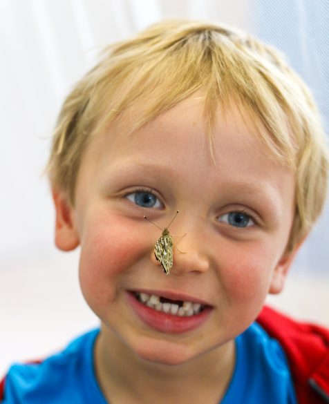 A young student with a butterfly on his nose.